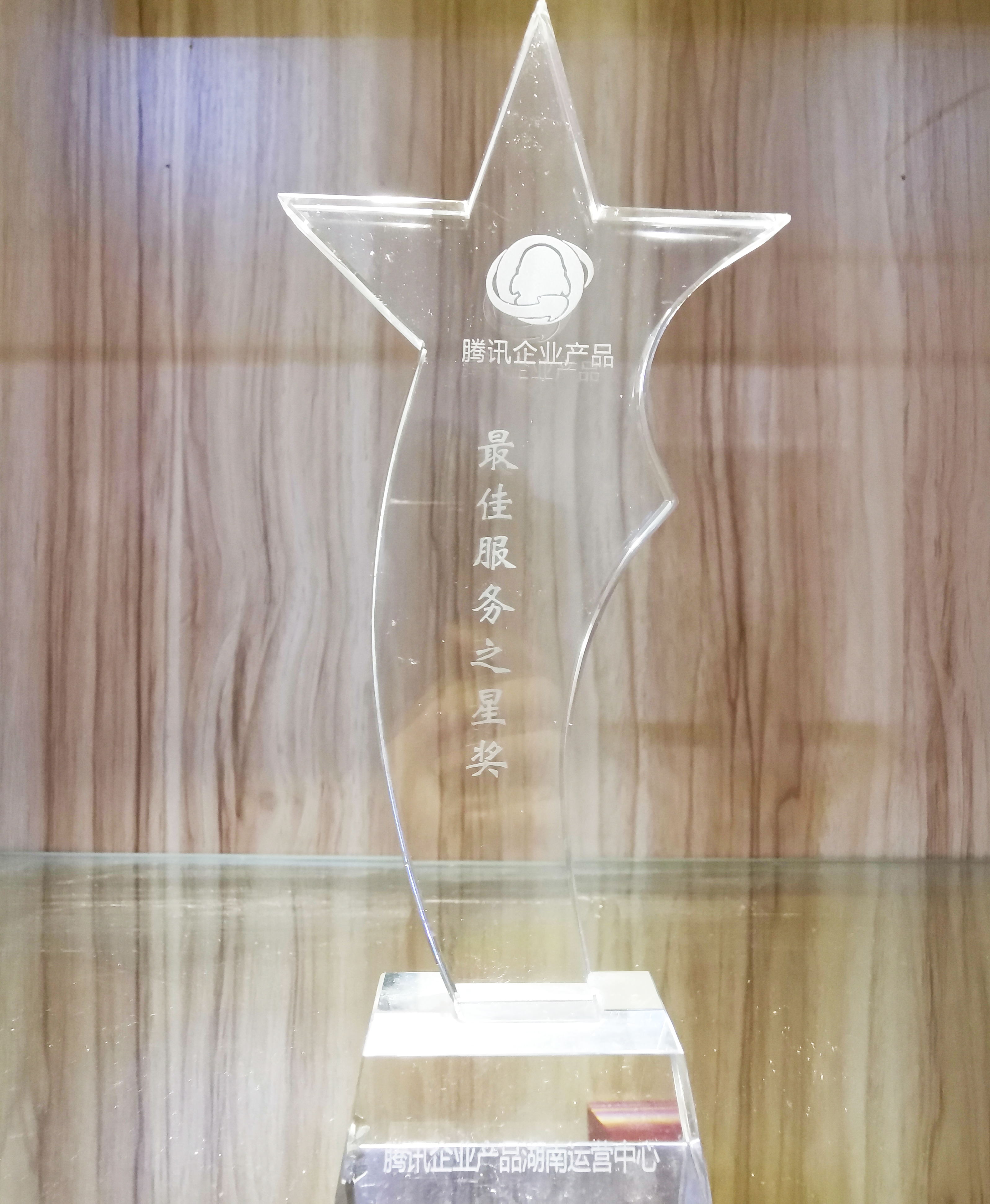 最佳服務(wù)之星獎(jiǎng) 湖南騰輝網(wǎng)絡(luò)